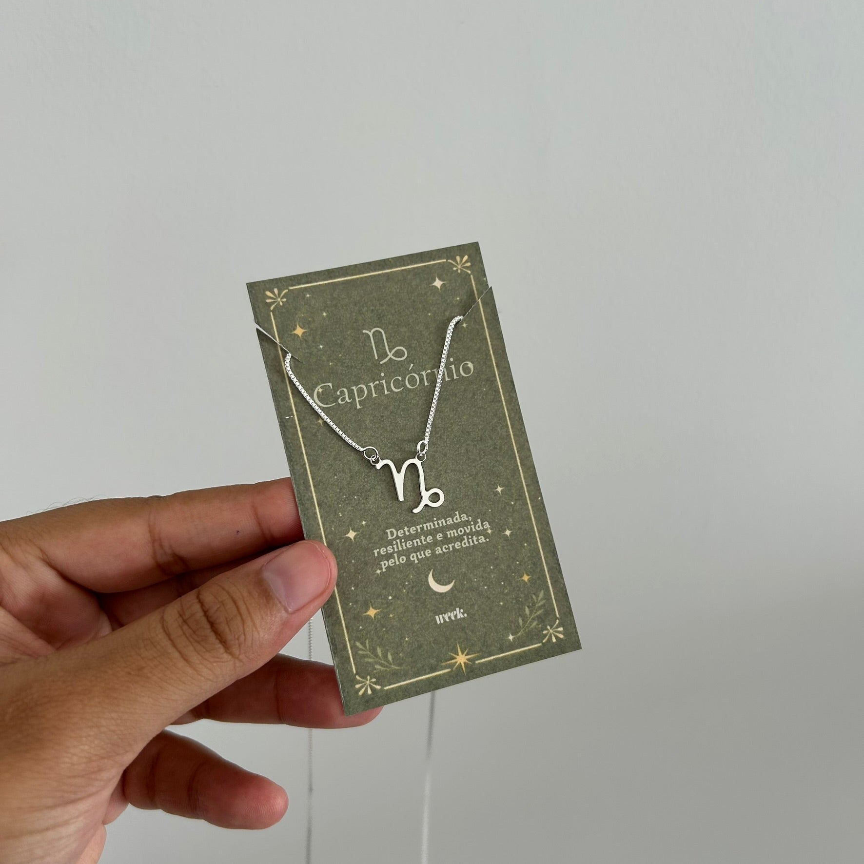 Colar signo capricórnio - Banhado em prata 925